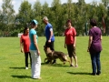 k-WM-Ausscheidung-Schutzhunde-2012_020
