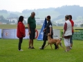 k-WM-Ausscheidung-Schutzhunde-2012_158