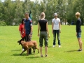 k-WM-Ausscheidung-Schutzhunde-2012_236