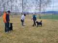 WhatsApp-Image-2025-03-15-at-16.48.12