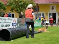 Rettungshunde-Staatsmeisterschaft_183