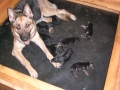 DSCN7819.JPG
