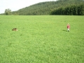 DSCN4050_01
