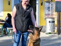 AUT, ASVÖ, Tracking Dog World Championship 2025