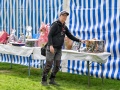 ASVOe-Tracking-Dog-World-Championship-2025-05.04.2025-19
