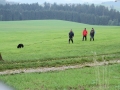 E7D_5314.JPG