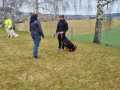 WhatsApp-Image-2025-03-15-at-16.48.20