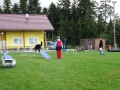 DSC00941