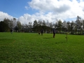 DSC00951