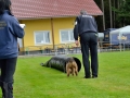 Rettungshunde-Staatsmeisterschaft_050