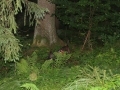 E7D_4078.JPG